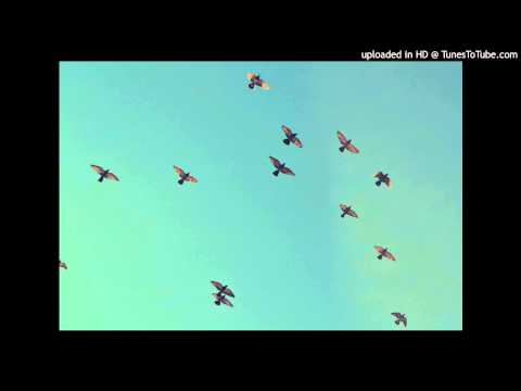 Marco Shuttle - Sing Like a Bird