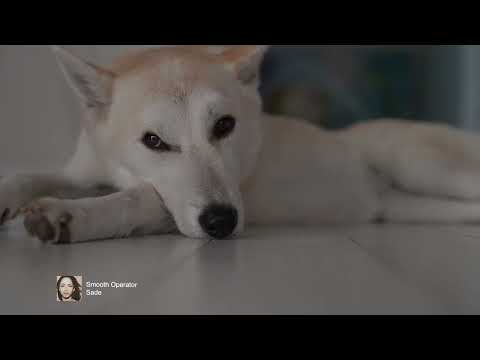 DAWN and 던워리비햇님