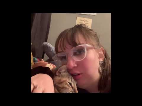 Pilchard Goes Fishing 🐱🐟