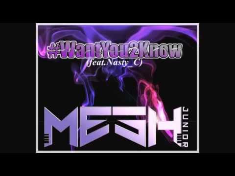 WantYou2Know-Mesh Junior ft.Nasty_C