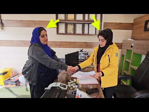 Consultant with lawyer. Perseverance of young woman.