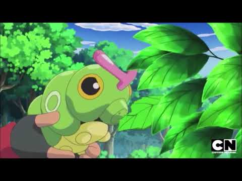 The Green Train and the Blue Train (The Fox and the Hound) Part 11 - Garfield & Homer Chase Caterpie