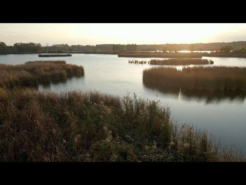Náhled pro video reference