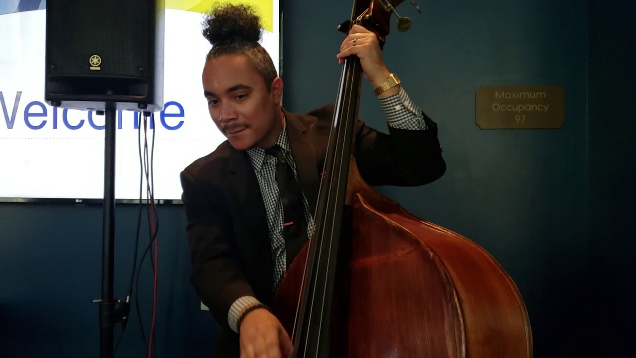 Promotional video thumbnail 7 for The Dominique Toney Experience