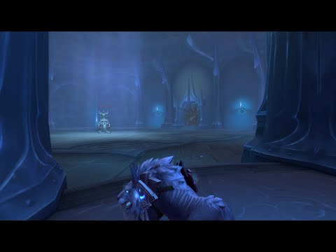 | Tower of Torghast | Skoldus Hall | Layer 5 | floor 5th and 6th | Feral |