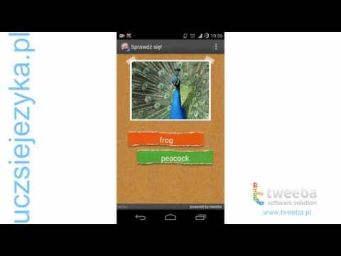 English for Kids Video