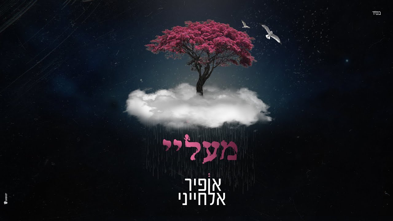 נפש אחת צמאה לפתרונות | אופיר אלחייני | מעליי | צפו בקליפ מילים