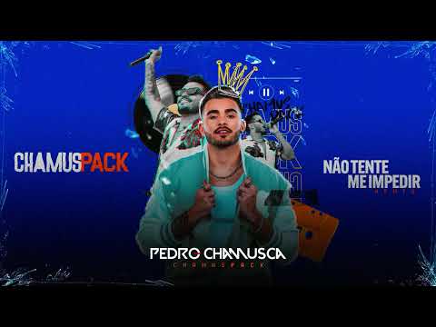 Não tente me impedir -  Pedro Chamusca