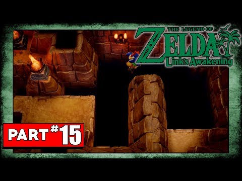 The Legend of Zelda Link's Awakening Playthrough Part 15 - Bird Key