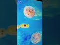 Noggin ID Bacteria 2003