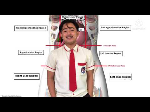 Four abdominal quadrants and Nine abdominal regions || Chanrey