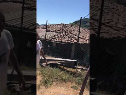 De regreso mi casita donde me crié en honduras