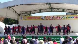 preview picture of video 'Beppuダンスフェスタ2014　①　明豊ソーラン　しらしんけん隊'