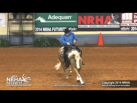Wimpys Snow Gun NRHA Futurity 2014 First Go