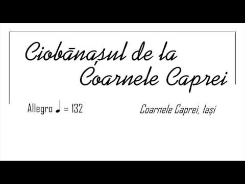 Radu Cimpoi - Ciobănașul de la Coarnele Caprei (Coarnele Caprei, Iași)