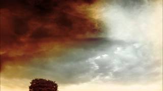 Matt Corby - Untitled