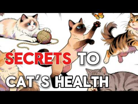 The Ultimate Feline Code Masterclass: 47 Secrets to Transforming Your Cat’s Health