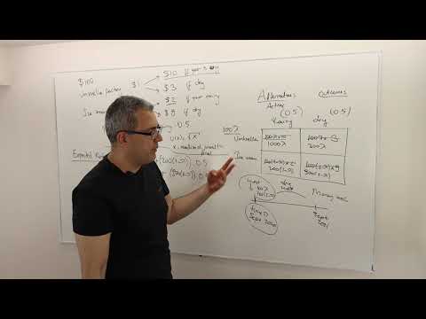 (M5E6) [Microeconomics] Expected Utility Theory at Work: Risky Investment Problem 1
