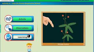 Respond to Stimuli, Coordination Class 10 Biology