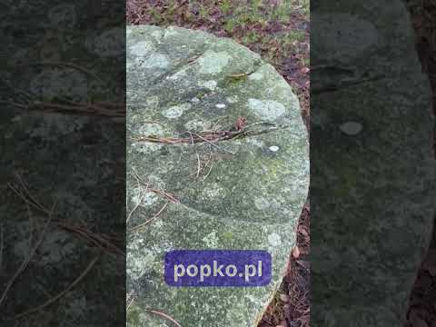 [Encyklopedia Wiedzy Duchowej] Często niesiemy ze sobą bagaż doświadczeń jak ciężki głaz. Ale co, jeśli zamiast go dźwigać, spróbuj