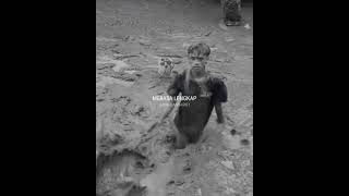 Download lagu STORY WA LIRIK LAGU || KEHADIRAN CINTA VOC WORO WIDOWATI mp3