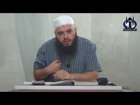 Alternativat më të mira të kohës sonë