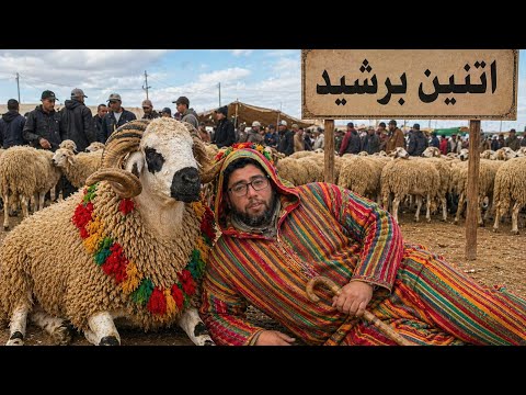 سوق اتنين برشيد الحولي موجود والشاري فيناهو الخطة ناجحة بإذن الله 