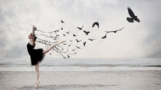 "One Day I'll Fly Away".wmv - Randy Crawford - Lyrics