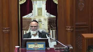 הלכה | הרב פנחס רז - הלכות תפילין - הלכות פסח  - ח' ניסן -תשפ"ד