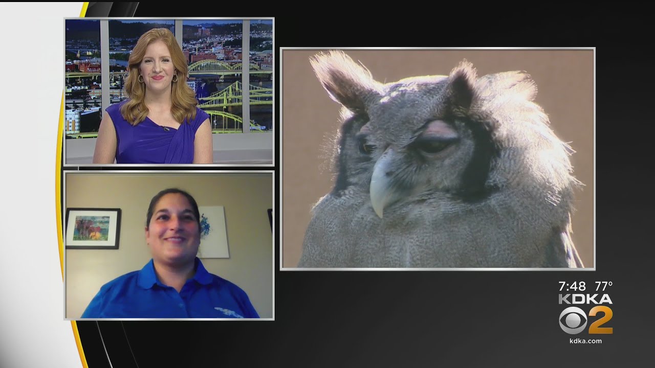 National Aviary Has New Season-Long Experience