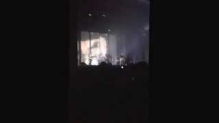 de ceux -fauve printemps de Bourges