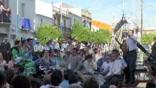 preview picture of video 'Recogida del Romero. CRUZ DE ARRIBA. Villarrasa, 3-6-2012.'