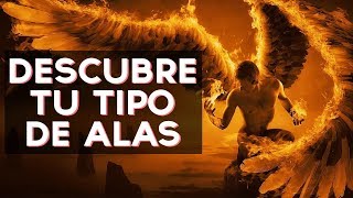 Cual es tu tipo de alas? Descubre qué tipo de alas tienes con este divertido test! ↠↠ ¡No te olvides de suscribirte para no perderte ningún test! https://www.youtube.com/channel/UCEOWFJSDl...