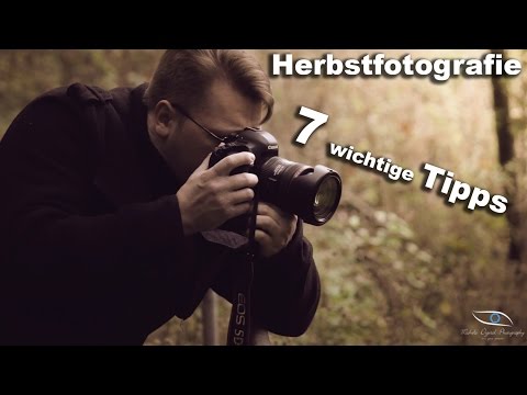Herbst Fotografie 7 Wichtige Tipps für Anfänger