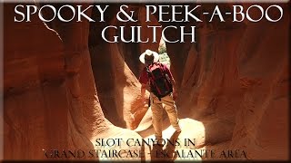 Spooky and Peek A Boo Slot Canyons Escalante Utah