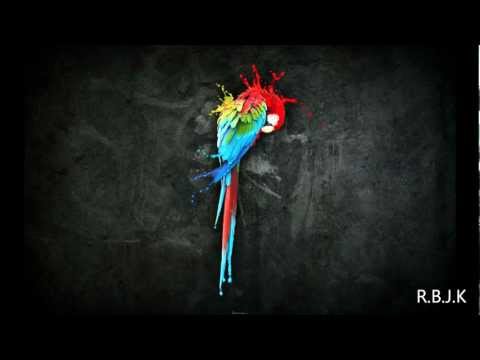 Gemini   Graduation, Laidback Luke Vs Example