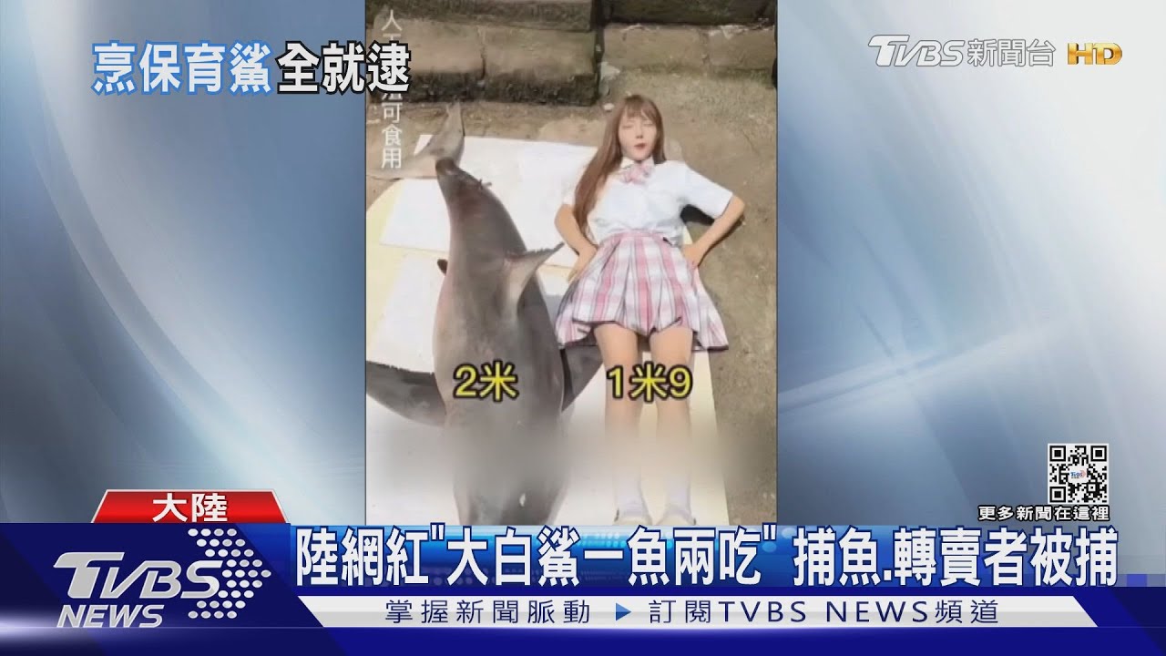 陸網紅「大白鯊一魚兩吃」 捕魚、轉賣者被捕
