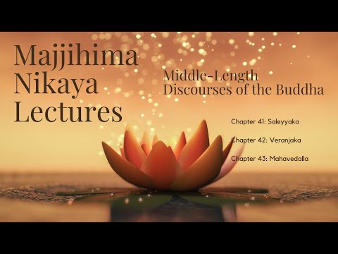 The Majjhima Nikaya Lectures | Chapter 41 to 43 Suttas