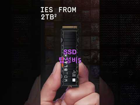 PCIe 4.0 M.2 NVMe SSD PS5 전용 탑성비5 추천 순위