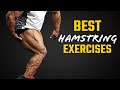 Best Hamstring Exercises | बेस्ट हैमस्ट्रिंग एक्सरसाइजेज | Yatinder Singh
