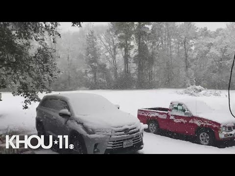 Snow in Lovelady in January 2021