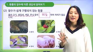 [백점맞는과학]09. 3학년 과학 동물의 한살이 동물의 암수는 생김새와 하는 일이 어떻게 다를까요