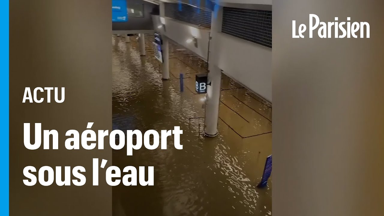 Nouvelle Zélande : l'aéroport d'Auckland sous les eaux, les avions cloués au sol