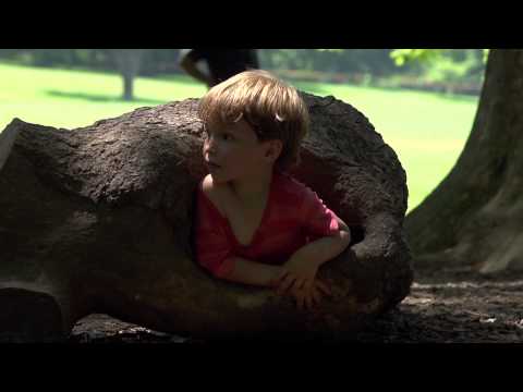 A Little Bear Wakes Up To Spring