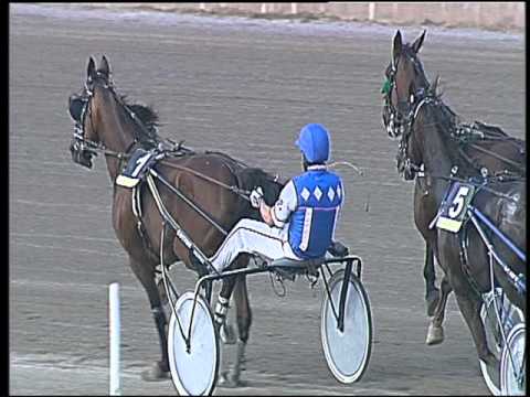 Trotto 08/05/2016 - 8° corsa