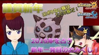 【謹賀新年】2019年もじぶをよろしくライブ！2019年を占うレート【ポケモンUSUM】