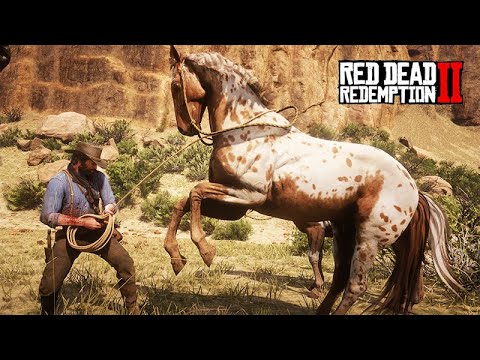 I found and tamed an Appaloosa - Shootout in Tumbleweed - Red Dead Redemption 2