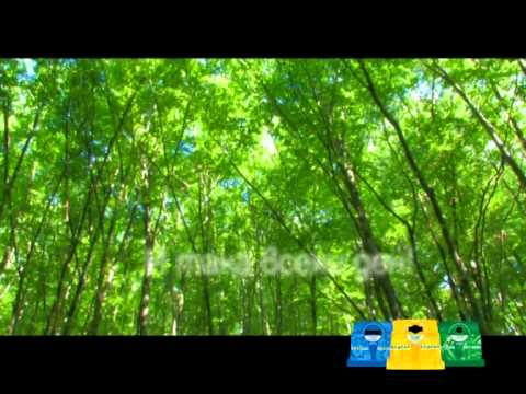 ЕКОПАК - ДА ИЗЧИСТИМ БЪЛГАРИЯ