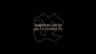 Leather Strip &quot;B - Side&quot;
