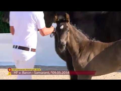 KN 5: HF von Baron / Samarant